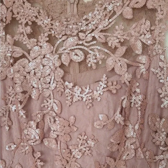 NWT Tadashi Shoji Blush Antique Pink Lace Cocktail Dress SIZE 8 - Picture 9 of 16